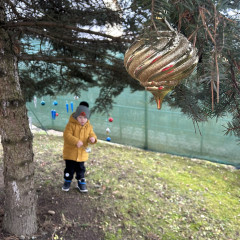 1.+2. třída Zdobení stromu před MŠ