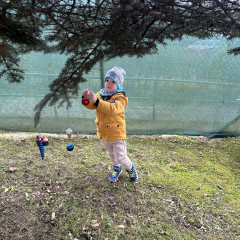 1.+2. třída Zdobení stromu před MŠ