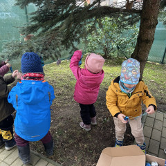 1.+2. třída Zdobení stromu před MŠ