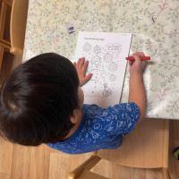 Vánoční zvyky a tradice