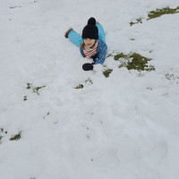 Mraveneček stůně dál