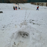 Padá snížek bělounký - 1.tř.