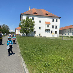 Návštěva farmy - 3. tř.