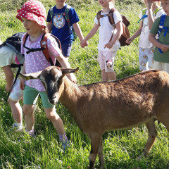 Výlet na farmu - 2. tř.
