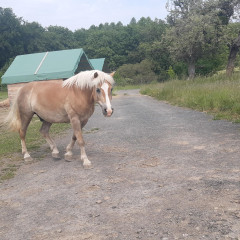 Výlet na farmu - 2. tř.