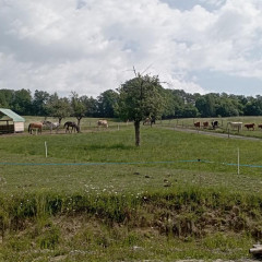 Výlet na farmu - 2. tř.