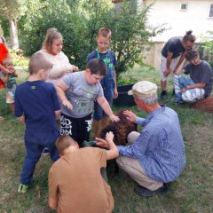 Poznáváme zvířátka