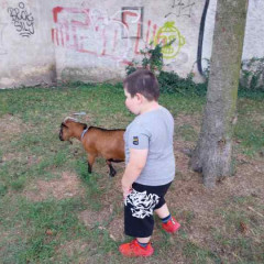 Poznáváme zvířátka