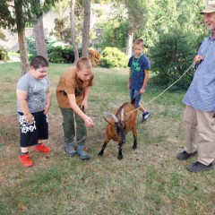 Poznáváme zvířátka
