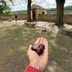 Vycházka ke znojemskému hradu a prohlídka zámeckého nádvoří