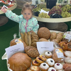 Zemědělská výstava