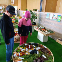 Zemědělská výstava