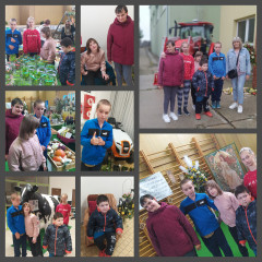 Zemědělská výstava