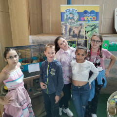 Znojemská zemědělská výstava