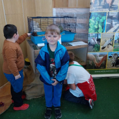 Zemědělská výstava