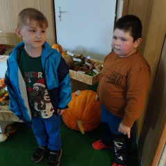 Zemědělská výstava