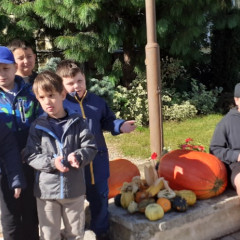 Zemědělská výstava