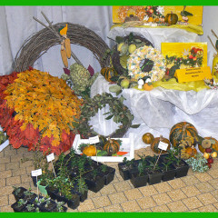 Naše poklady z Čech a Moravy – 19. září 2025