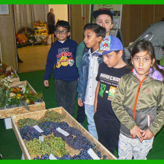 Naše poklady z Čech a Moravy – 19. září 2025