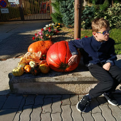 Znojemská zemědělská výstava 18.9.