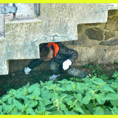 Jak jsme uklízeli Česko – 22. září 2025