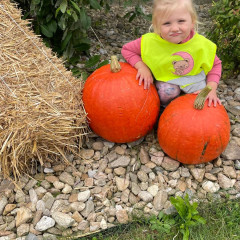 Barevný podzim v naší školce