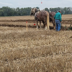 Soutež v orbě Mašovice 1.10.