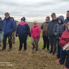 Závody v orbě - Mašovice