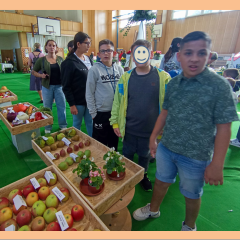 Zemědělská výstava