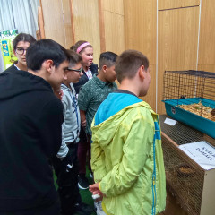 Zemědělská výstava