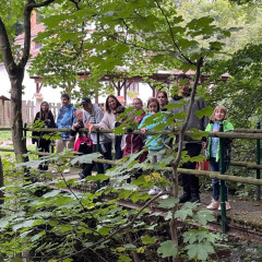 Vycházka do Gránic za zvířátky a sběr ořechů a kaštanů