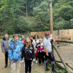 Vycházka do Gránic za zvířátky a sběr ořechů a kaštanů