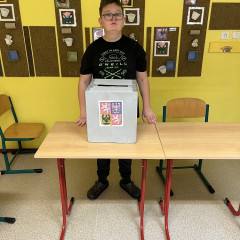 Projekt: Volby v demokratické společnosti