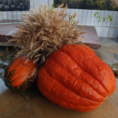 Podzimní výstava v kostele sv. Mikuláše