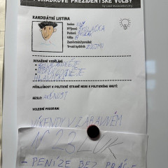 Celoškolní projekt Výchovy demokratického občana na téma: Volby v demokratické společnosti