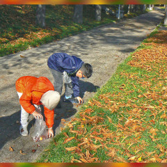 Podzimní tvoření v přírodě – 14. října 2025