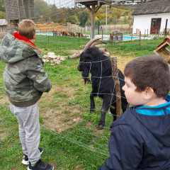 Výlet Agro Family Park Boskovštejn
