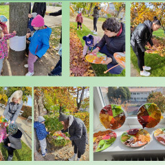 Tvoříme z přírodnin - EVVO projekt