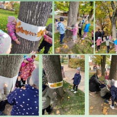 Tvoříme z přírodnin - EVVO projekt