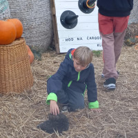 Výlet internátu do Agro Family Parku Boskovštejn