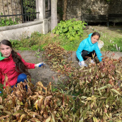 Podzimní práce na zahradě