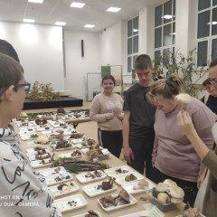 Edukace na Alšovce - Houby nejsou na houby