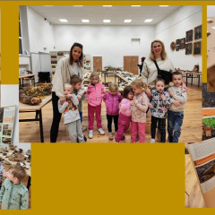 Muzeum - výstava živých hub