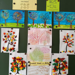 II.ZŠS tř. projekt- Den stromů