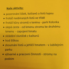 II.ZŠS tř. projekt- Den stromů