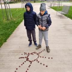 II.ZŠS tř. projekt- Den stromů