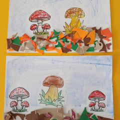 v muzeu-Houby na Alšovce-10-25