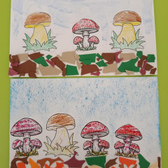 v muzeu-Houby na Alšovce-10-25