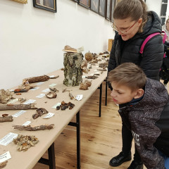 v muzeu-Houby na Alšovce-10-25