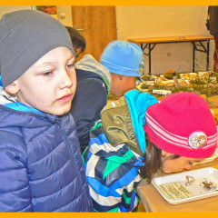 Jdeme na houby – 21. října 2025